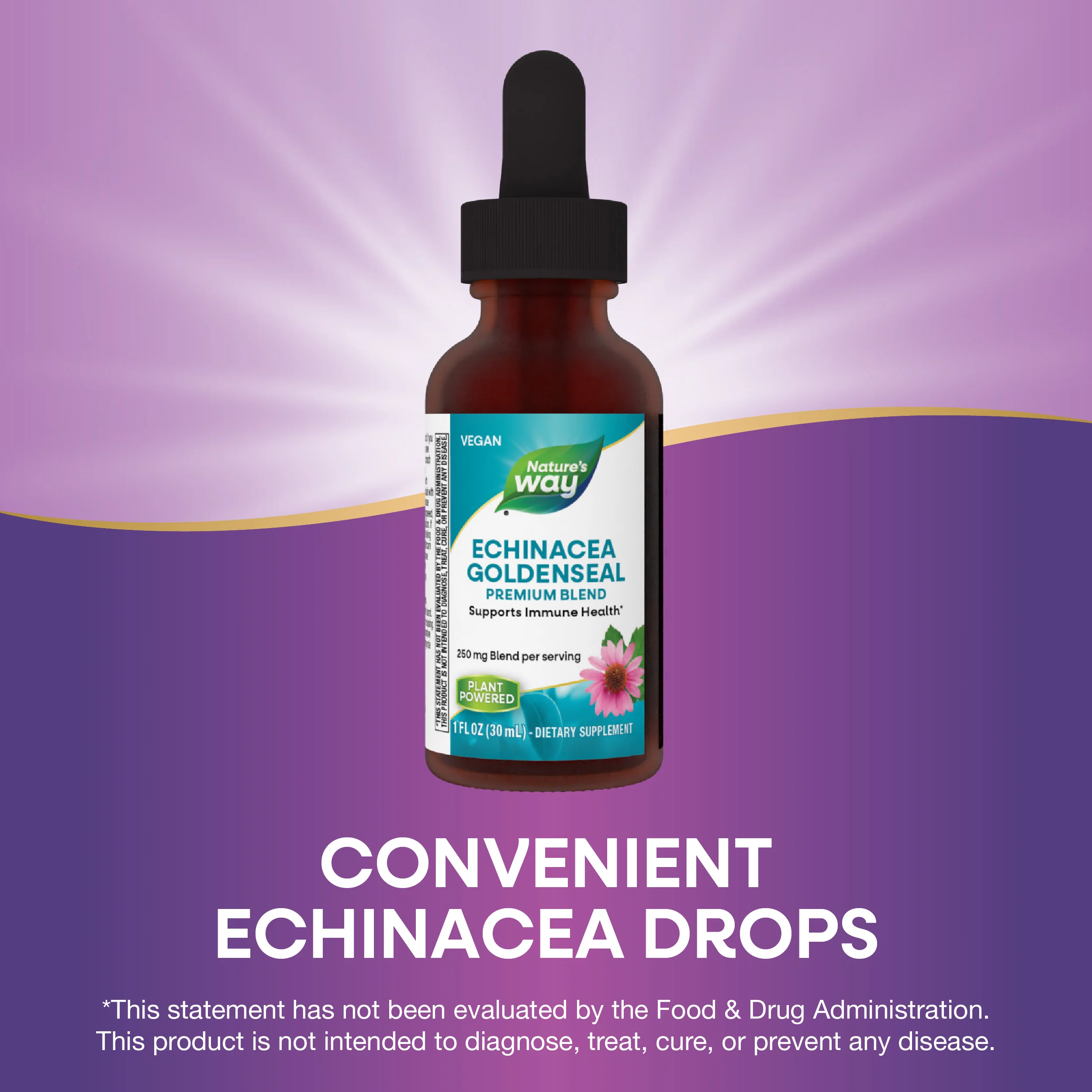 Echinacea with Goldenseal 1oz - Image 4