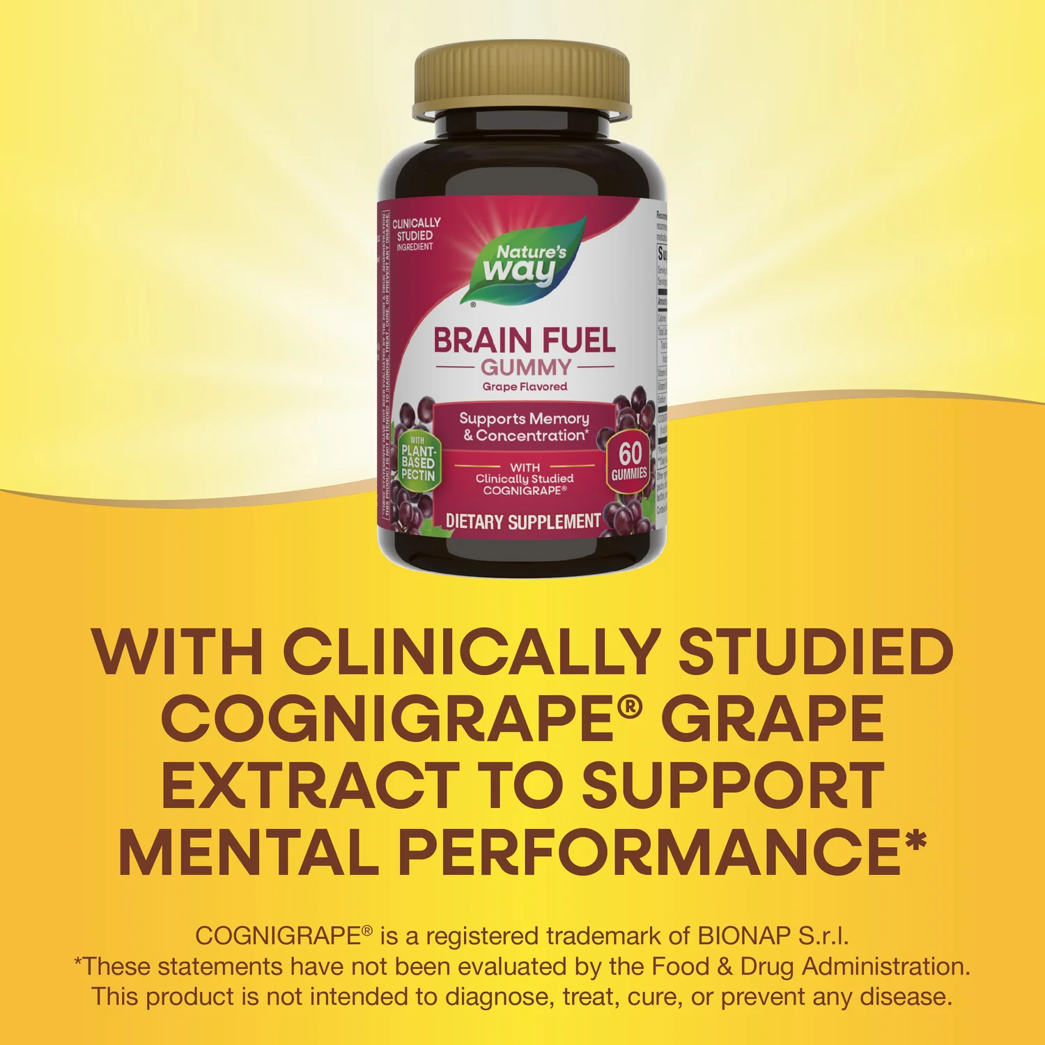 Brain Fuel Gummies - Image 2