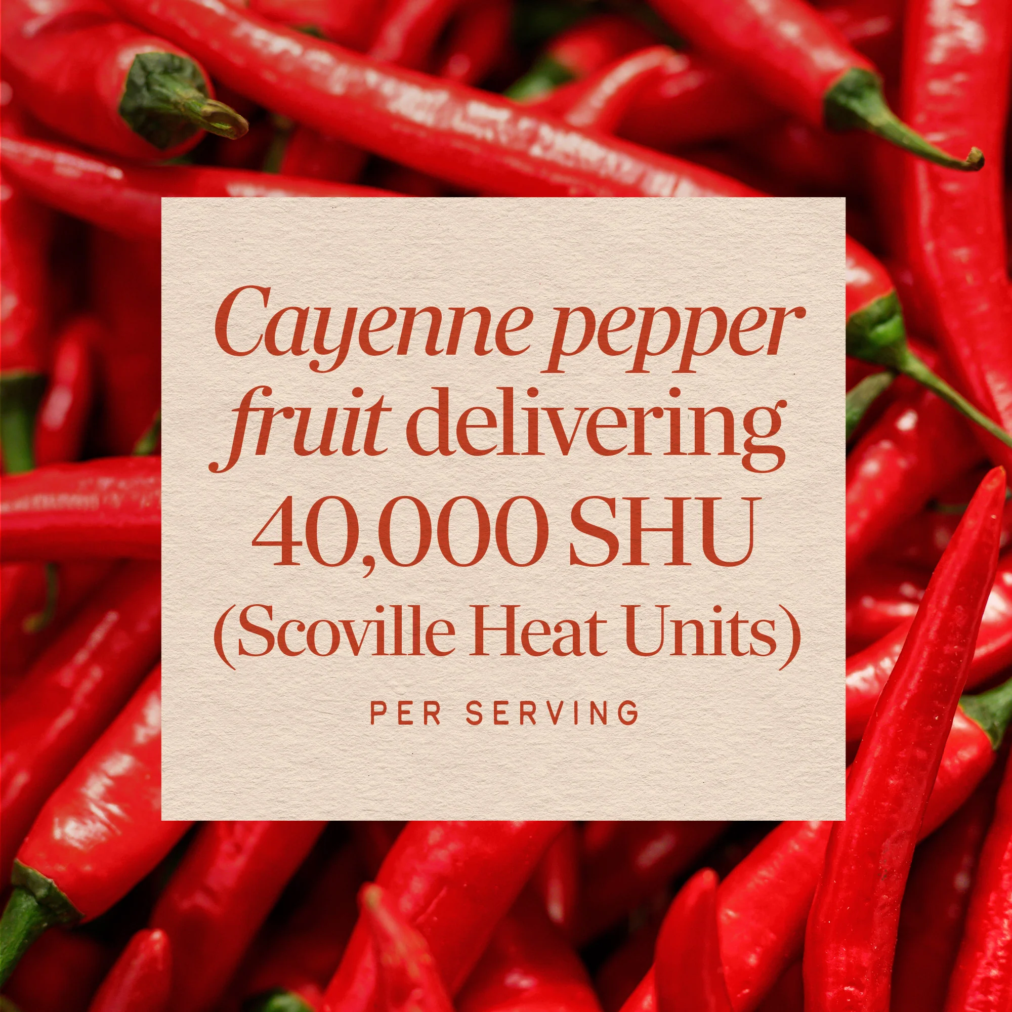 Cayenne Fruit - Image 3